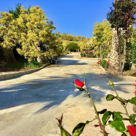 Los Ninos Villa/Country House Frigiliana Exterior foto